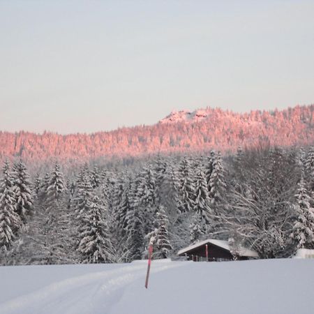 Landgasthof Brandtner Wirt Langdorf  Exterior foto